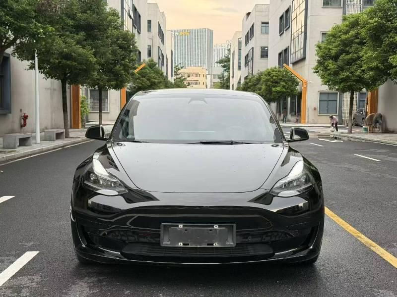 Tesla Model 3 2022 car image #2