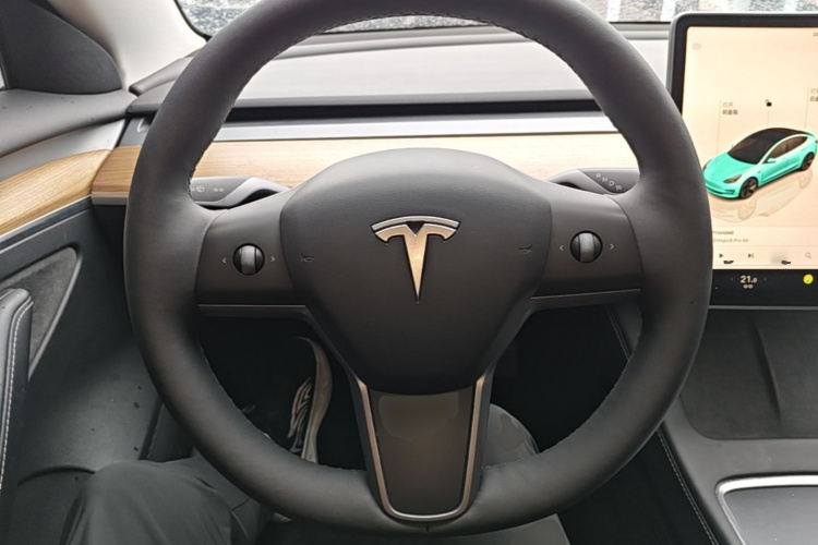 Tesla Model 3 2022 #11 Tesla Model 3 2022 car image #11