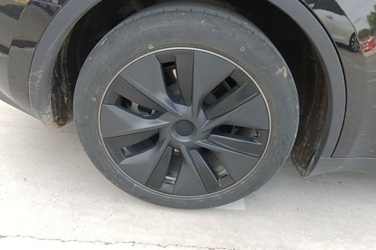 Tesla Model Y 2023 #10 Tesla Model Y 2023 car image #10