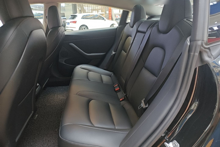 Tesla Model 3 2021 #17 Tesla Model 3 2021 car image #17