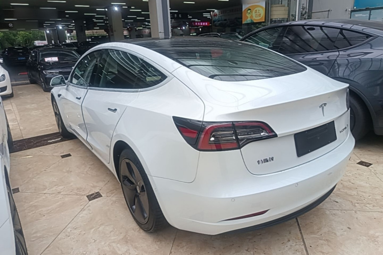 Tesla Model 3 2021 #5 Tesla Model 3 2021 car image #5