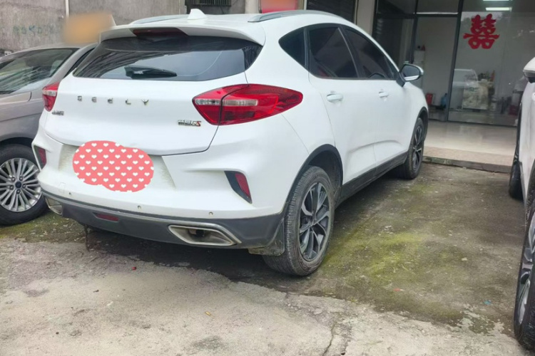 GEELY Emgrand GS 2020 изображение автомобиля #7