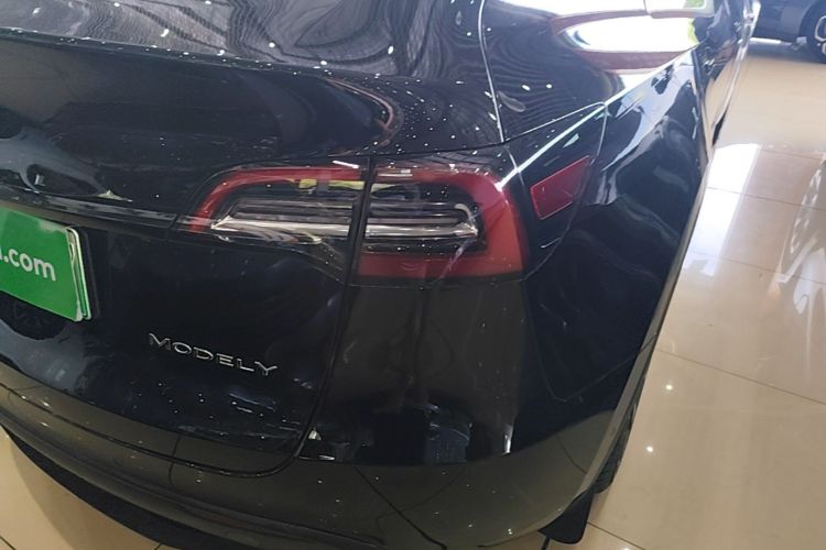 Tesla Model Y 2021 car image #8