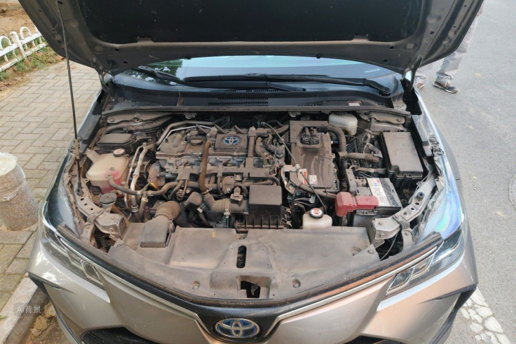 Toyota Corolla 2022 car image #22