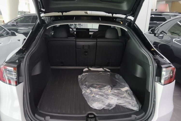 Tesla Model Y 2023 car image #19