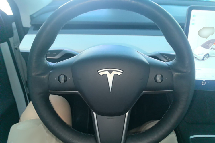 Tesla Model Y 2021 car image #11