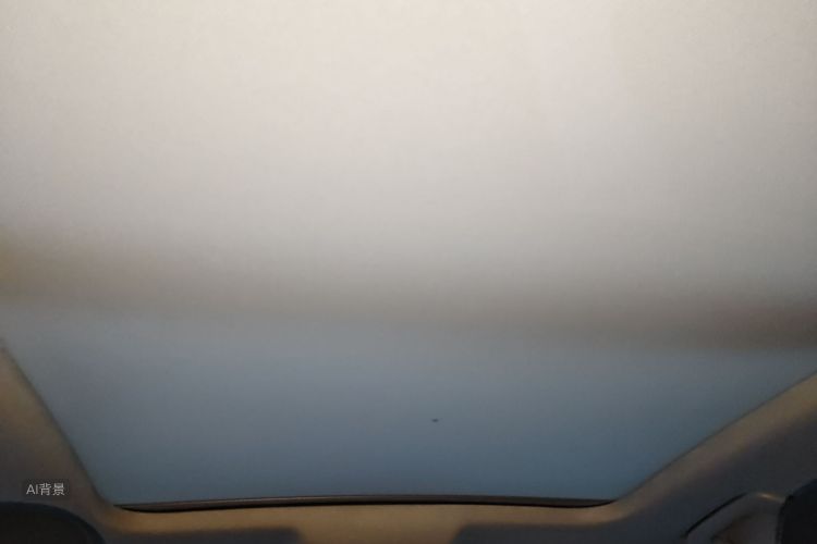 奥迪 奥迪Q3 2017 汽车图片 #20