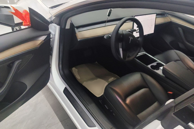 Tesla Model 3 2021 immagine di auto #16