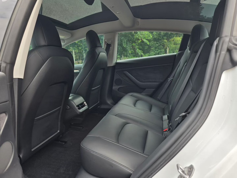 Tesla Model 3 2022 car image #6