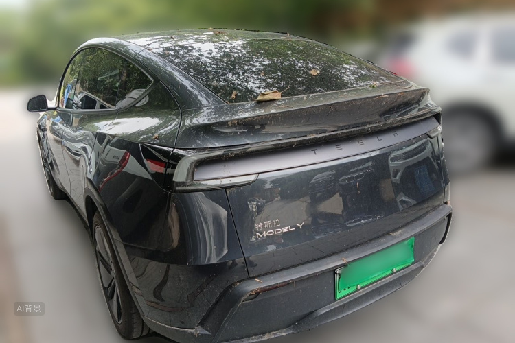 Tesla Model Y 2025 car image #5