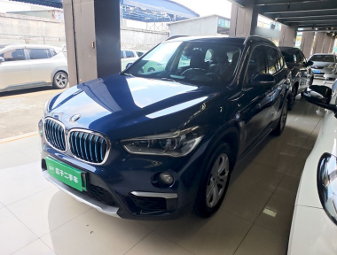 BMW X1 New Energy 2019 car image 