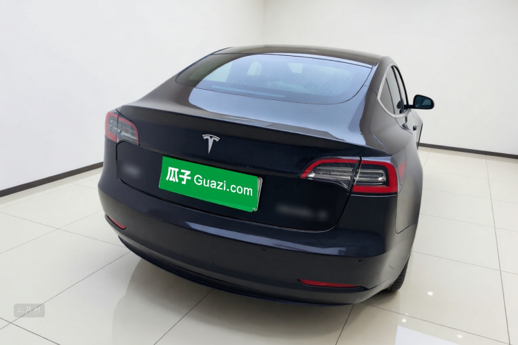 Tesla Model 3 2020 car image #6