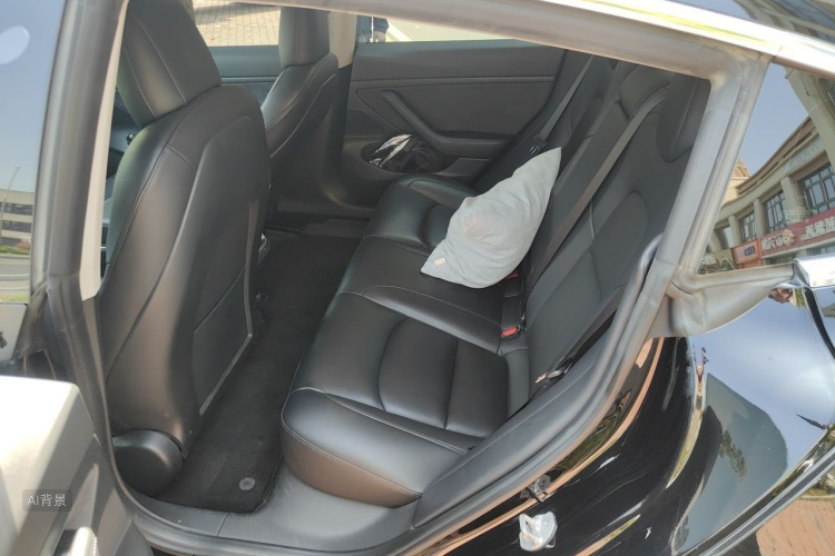 Tesla Model 3 2020 car image #19