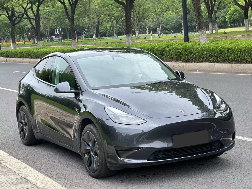 Tesla Model Y 2024 car image #2