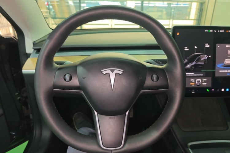 Tesla Model 3 2021 immagine di auto #11