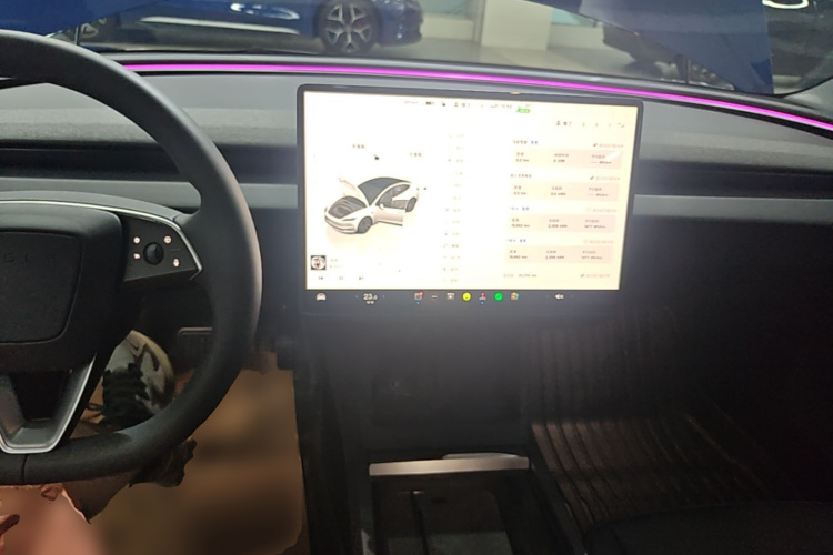 Tesla Model 3 2023 car image #10