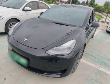 Tesla Model 3 2021 Tesla Model 3 2021 car image