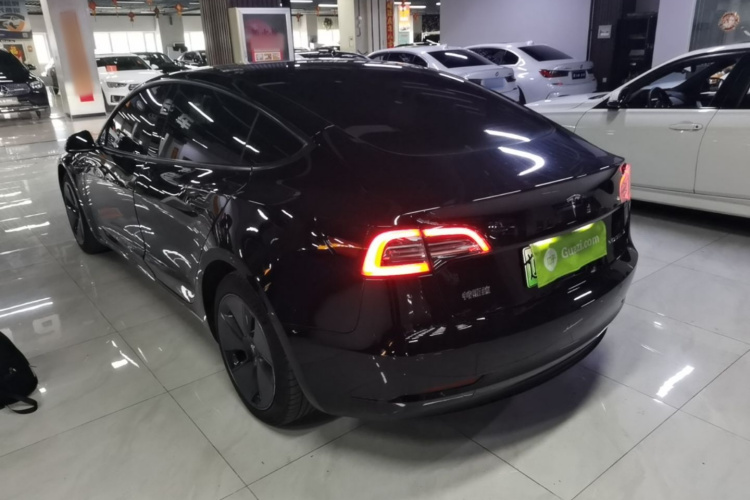 Tesla Model 3 2021 #6 Tesla Model 3 2021 car image #6
