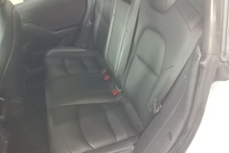 Tesla Model 3 2021 #17 Tesla Model 3 2021 car image #17