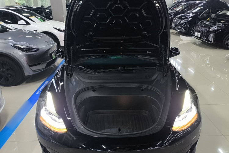 Tesla Model 3 2022 #20 Tesla Model 3 2022 car image #20