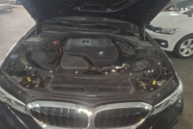 BMW 3 Series 2022 car image #20