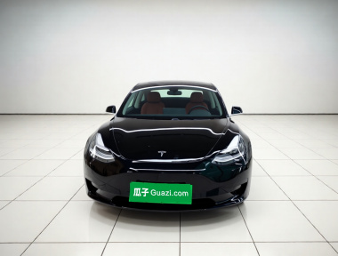 Tesla Model 3 2020 immagine di auto 