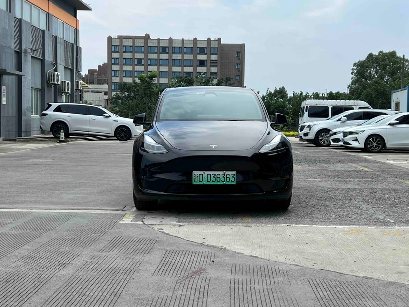 Tesla Model Y 2021 Tesla Model Y 2021 car image
