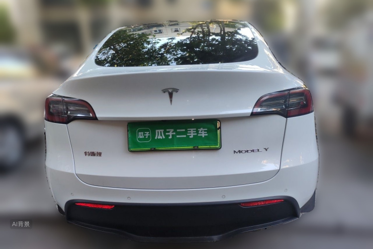 Tesla Model Y 2021 car image #6