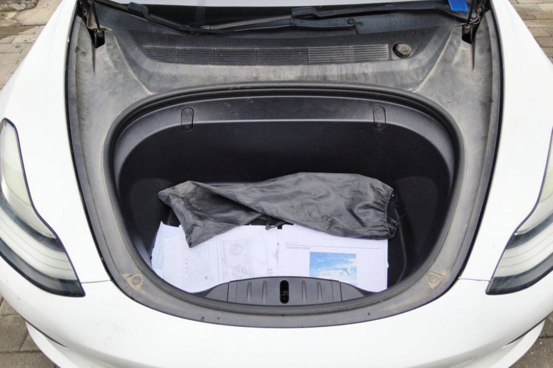 Tesla Model 3 2020 car image #10