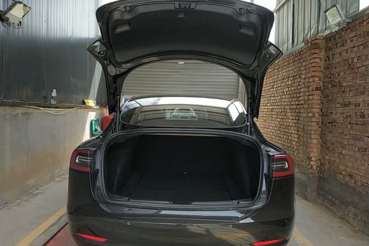 Tesla Model 3 2020 #19 Tesla Model 3 2020 car image #19
