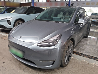 Tesla Model Y 2023 Tesla Model Y 2023 car image