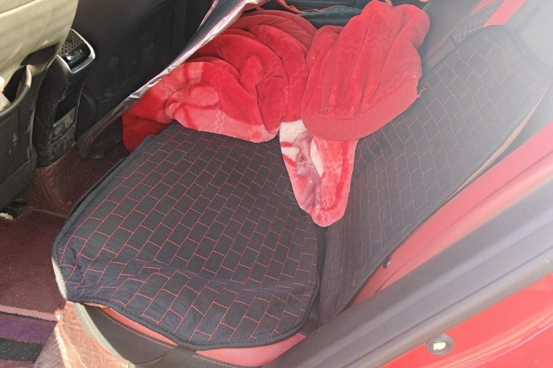 GEELY Binray 2020 #19 GEELY Binray 2020 car image #19