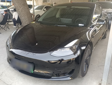 Tesla Model 3 2021 car image 