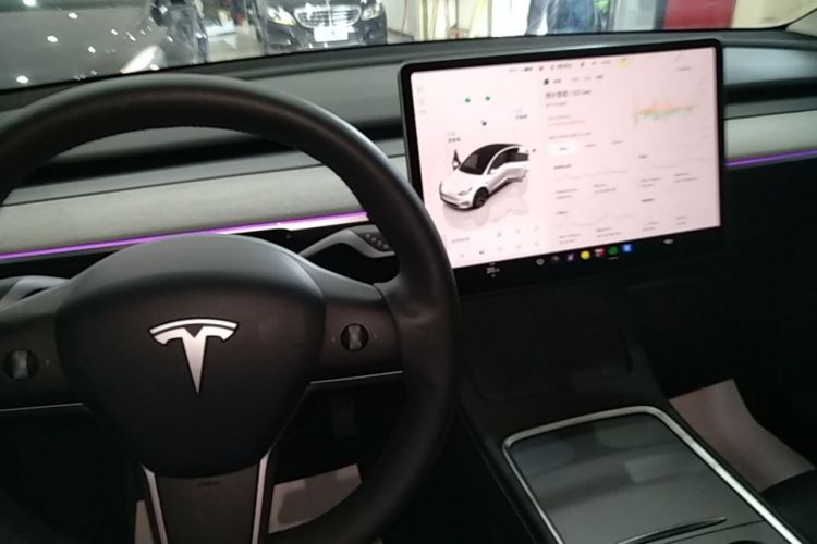 Tesla Model Y 2024 car image #18