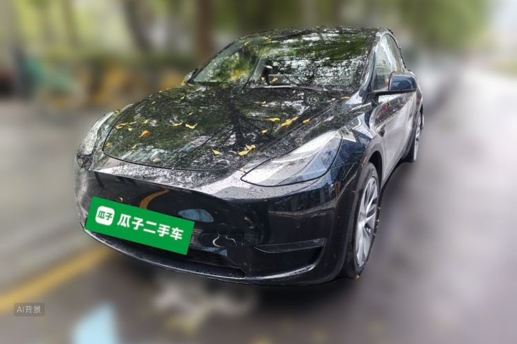 Tesla Model Y 2021 #2 Tesla Model Y 2021 car image #2