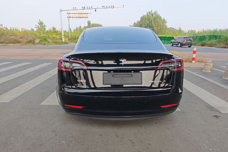 Tesla Model 3 2020 #4 Tesla Model 3 2020 car image #4