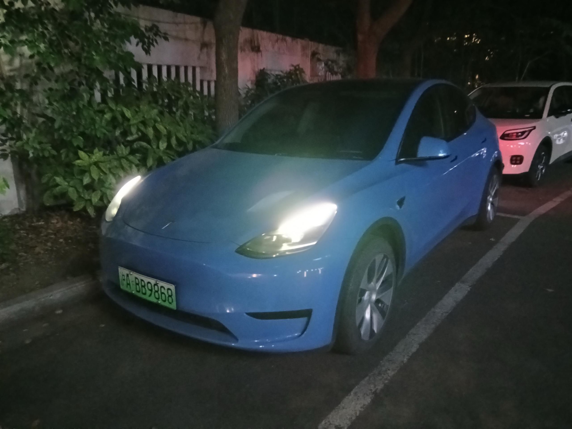 Tesla Model Y 2022 car image 