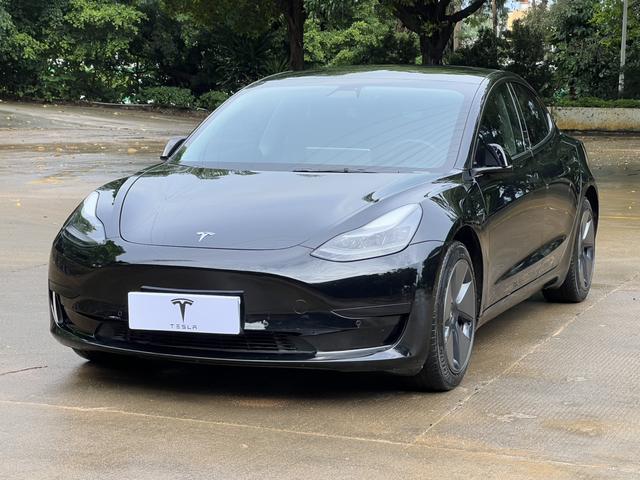 Tesla Model 3 2021 #25 Tesla Model 3 2021 car image #25