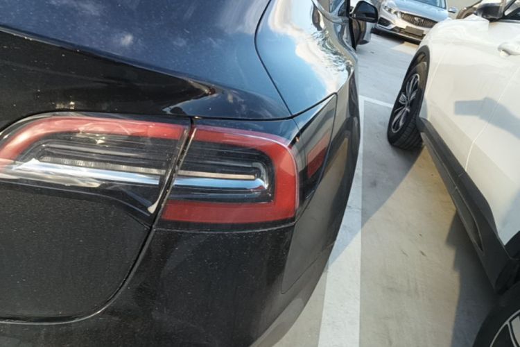Tesla Model 3 2023 #8 Tesla Model 3 2023 car image #8
