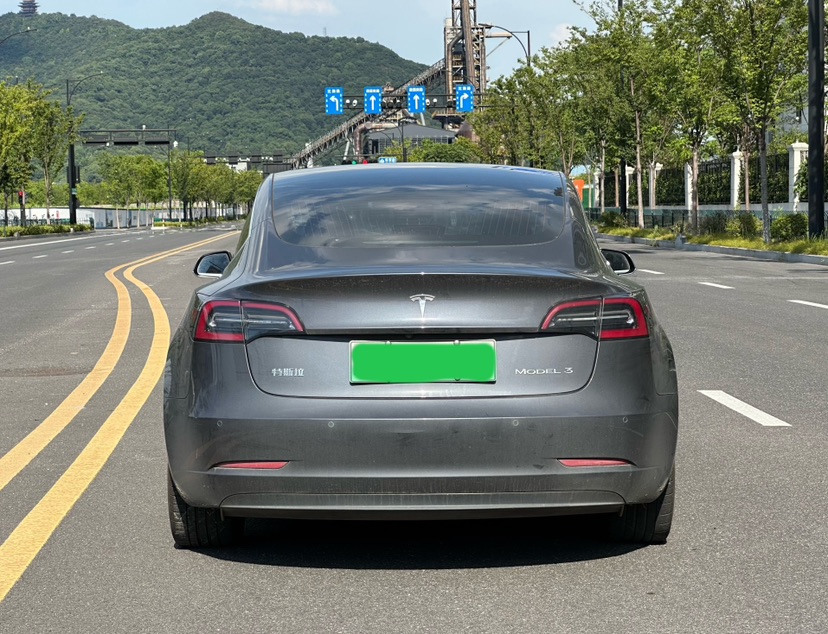 Tesla Model 3 2020 car image #4