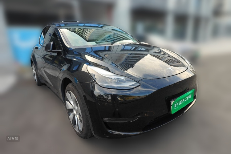 Tesla Model Y 2021 #4 Tesla Model Y 2021 car image #4