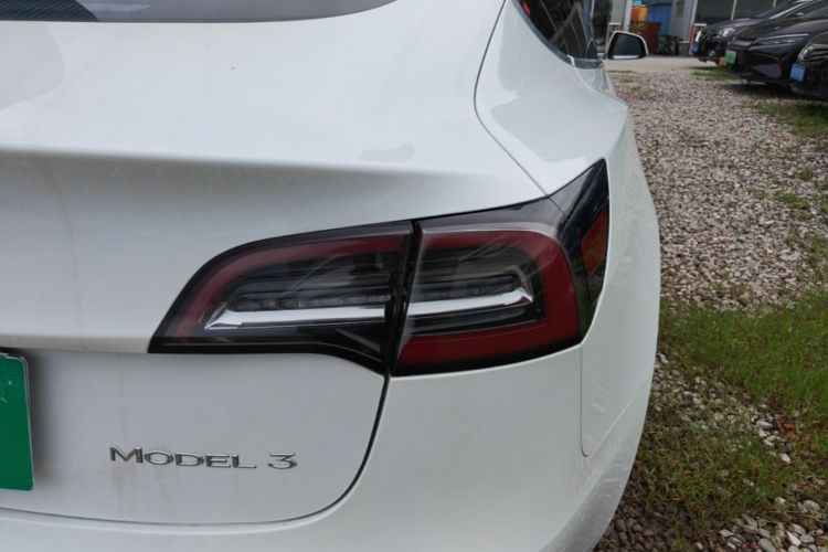 Tesla Model 3 2020 #8 Tesla Model 3 2020 car image #8