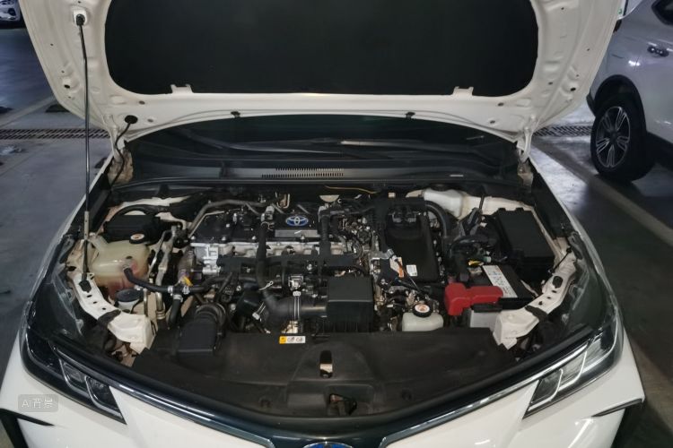 Toyota Corolla 2022 #22 Toyota Corolla 2022 car image #22