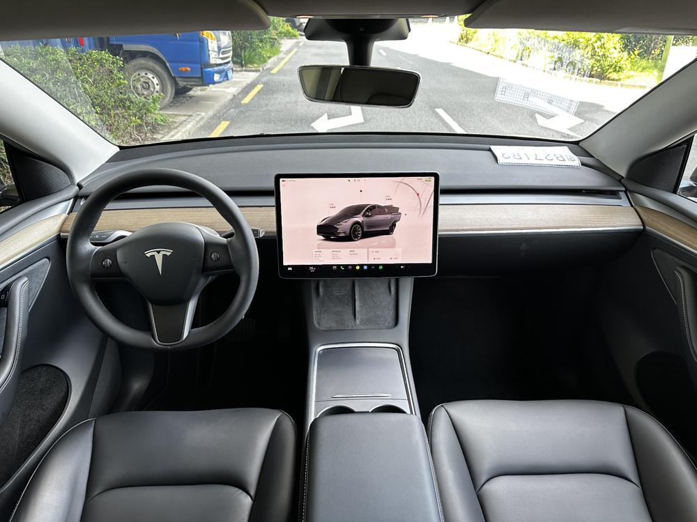 Tesla Model Y 2022 car image #9