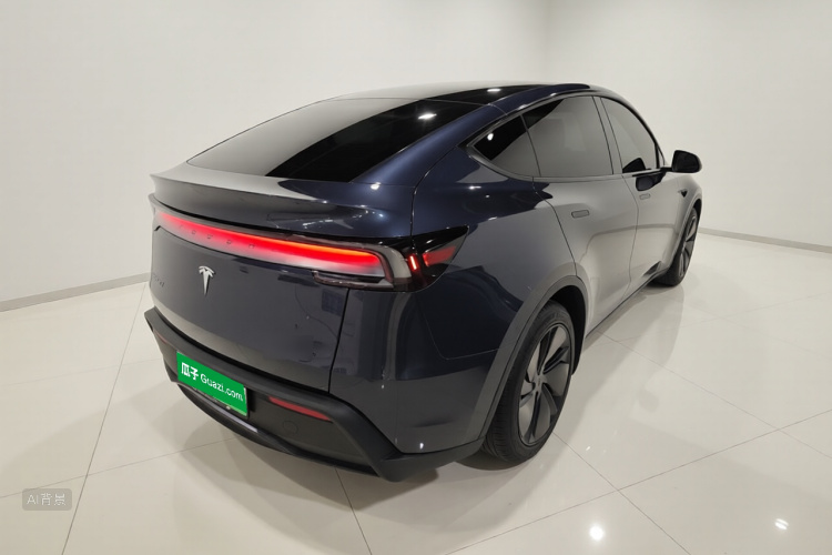 Tesla Model Y 2025 car image #7