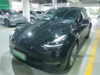 Tesla Model Y 2021 Tesla Model Y 2021 car image