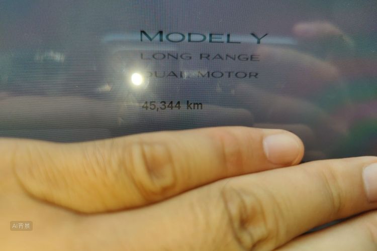 Tesla Model Y 2021 #14 Tesla Model Y 2021 car image #14