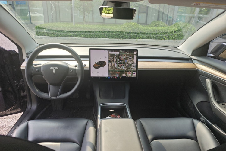 Tesla Model 3 2021 #12 Tesla Model 3 2021 car image #12