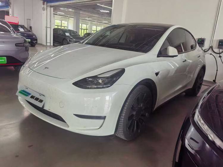 Tesla Model Y 2023 car image 