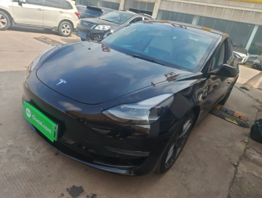 Tesla Model 3 2021 Tesla Model 3 2021 car image